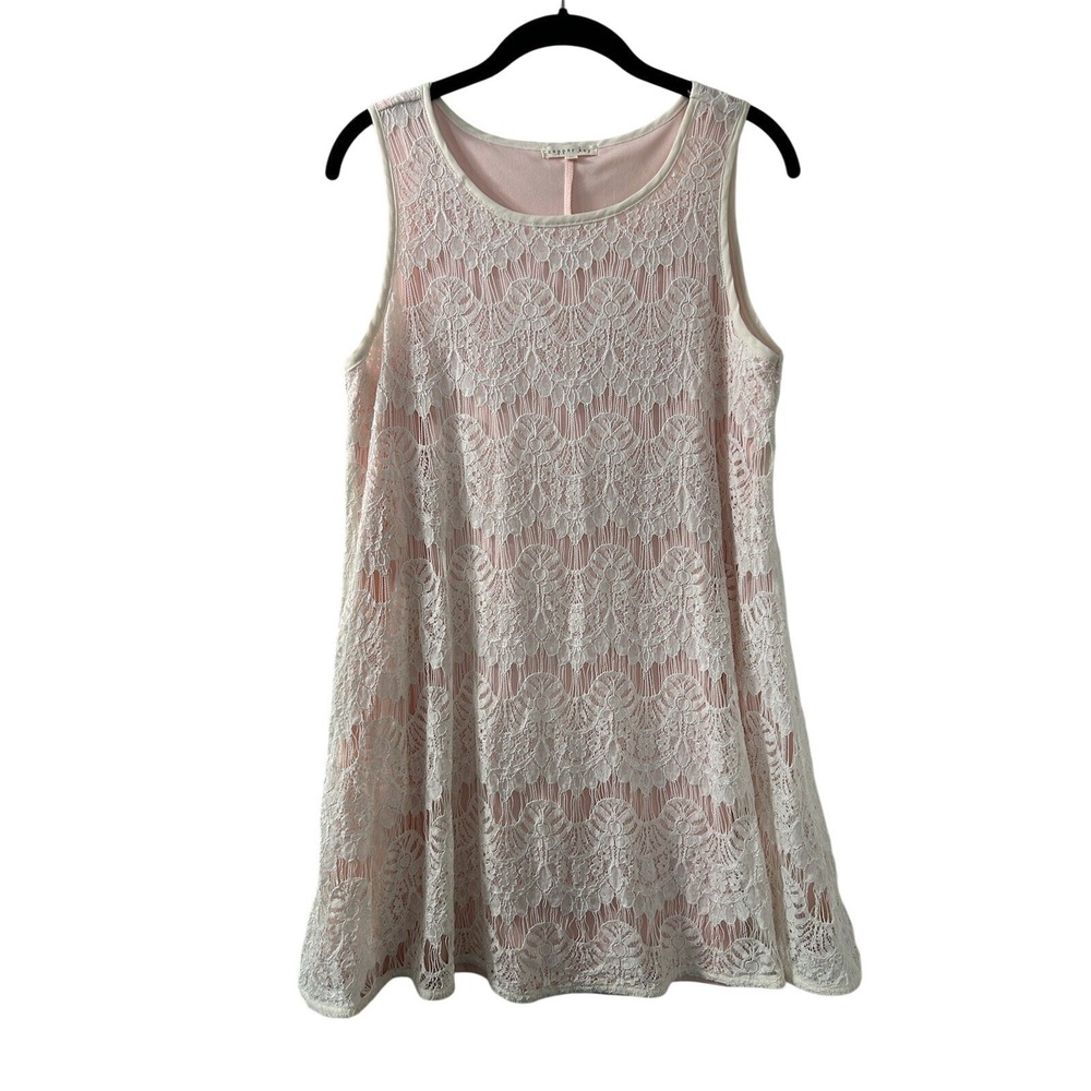Copper Key Floral Lace Shift‎ Dress M Pink Ivory Sleeveless Coquette Soft Girl